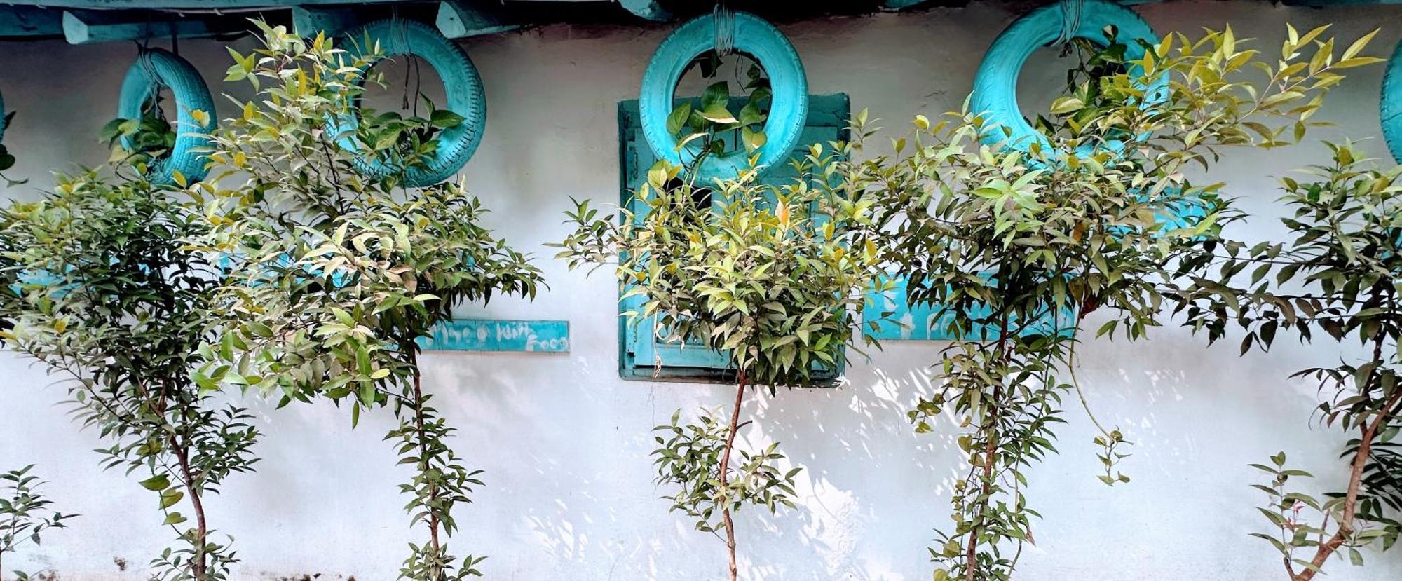 Omkar Wellness Inn Arambol Exteriér fotografie