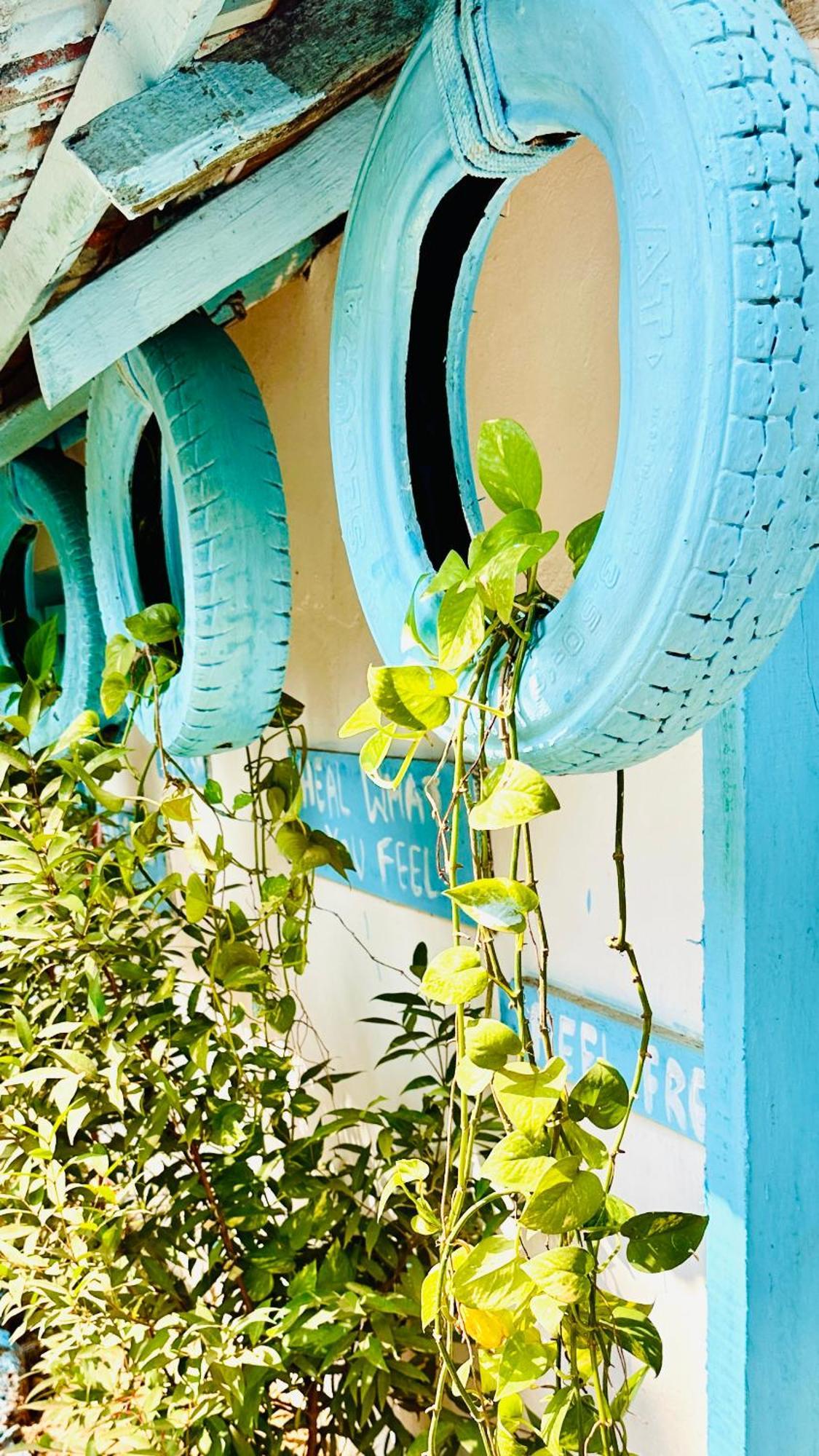 Omkar Wellness Inn Arambol Exteriér fotografie